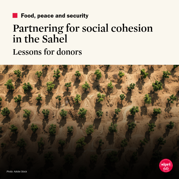 Partnering for Social Cohesion in the Sahel: Lessons for Donors